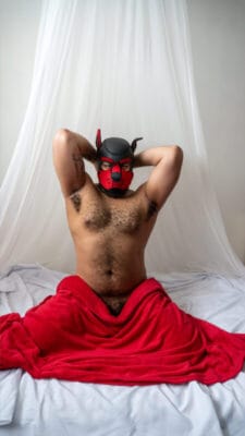 Beowolf the Brazilian puppy OnlyFans Italiane - @beowolfpup